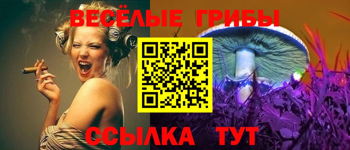 Заволжье  Галлюциногенные грибы Magic Shrooms  Вход с VPN 