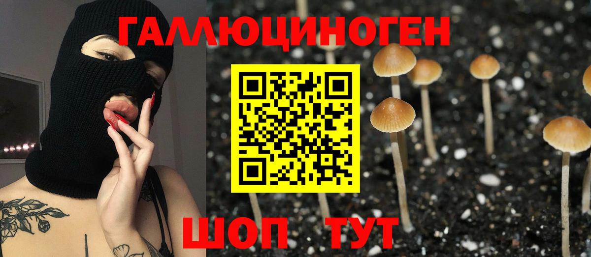 ГАШ  Каннабис  ГАШИШ  Меф  NBOMe  Вход с VPN  Меф МЯУ МЯУ   МАРИХУАНА  Заволжье  МДМА 